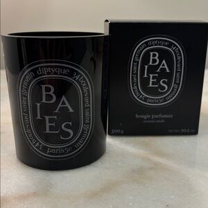 Empty Diptyque candle vessel 300g - Baies